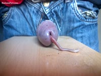 Bizarre insertion video featuring a dude's dick and live worms